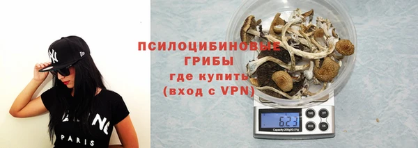 молекула духа Гусь-Хрустальный