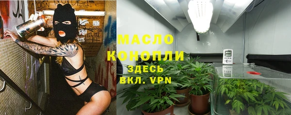 молекула духа Гусь-Хрустальный