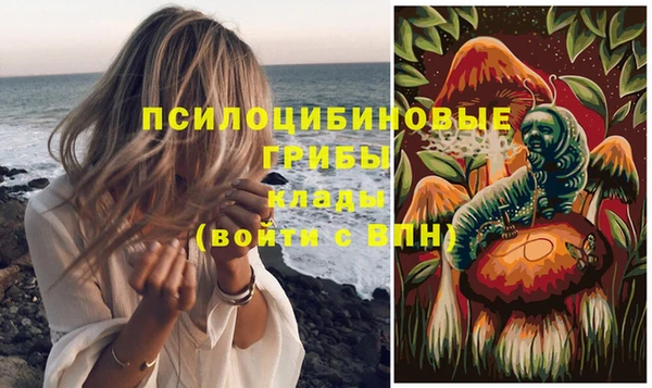 молекула духа Гусь-Хрустальный