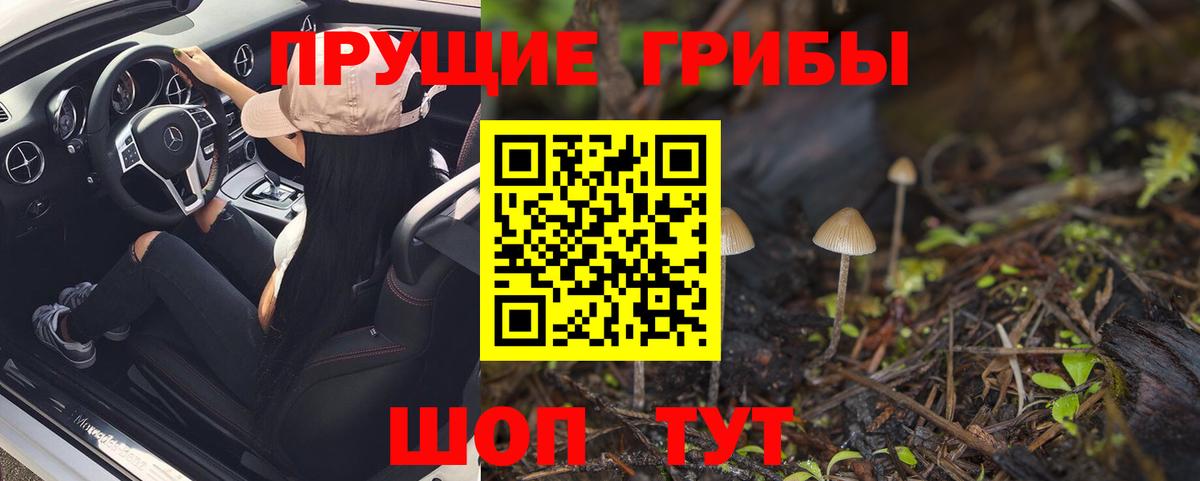 цена наркотик  Псилоцибиновые грибы Cubensis  Вход с VPN  Нижний Тагил 